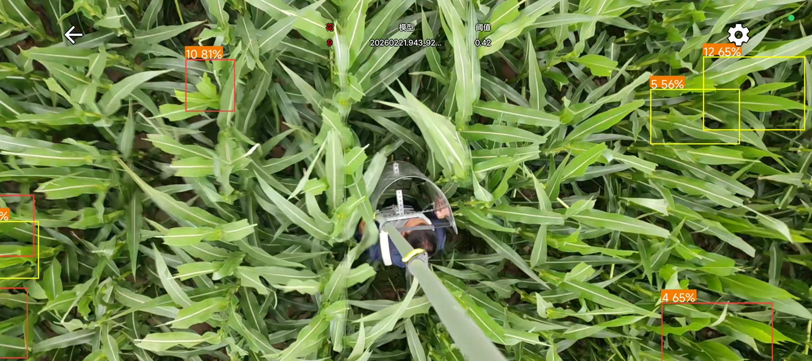 穿戴式人工智能去雄实时识别画面